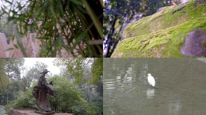 浣花溪  成都  公园  三苏  树林