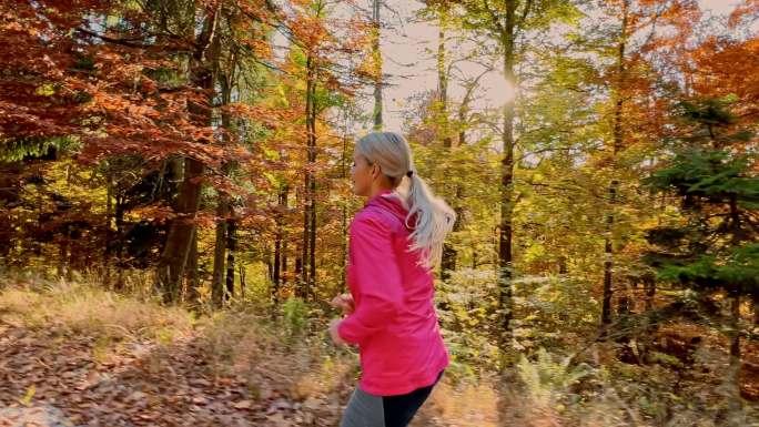 阳光明媚的日子里，一个女人在秋天的森林里跑步