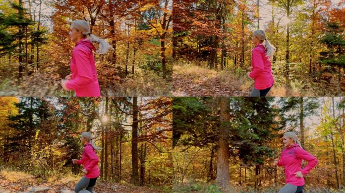 阳光明媚的日子里，一个女人在秋天的森林里跑步