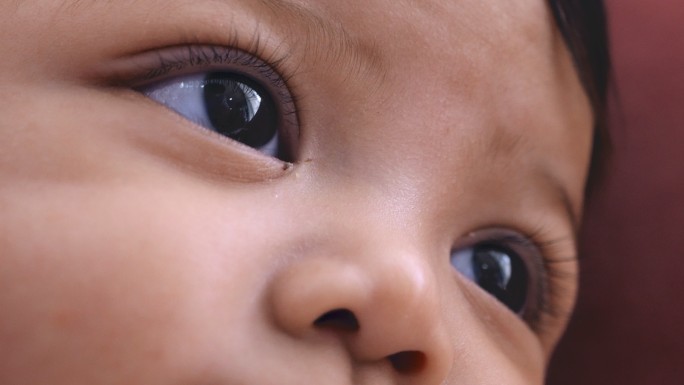 婴儿的眼睛人类大眼睛