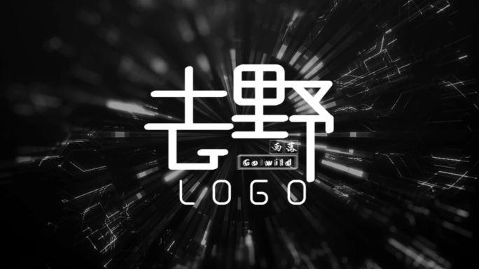 故障风片头LOGO