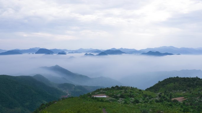 流动的云海