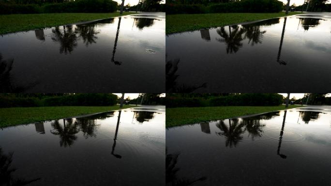 雨过天晴的水洼-慢镜头