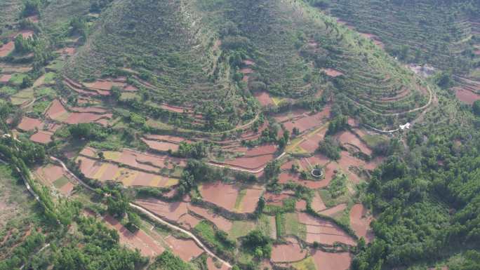 山区梯田