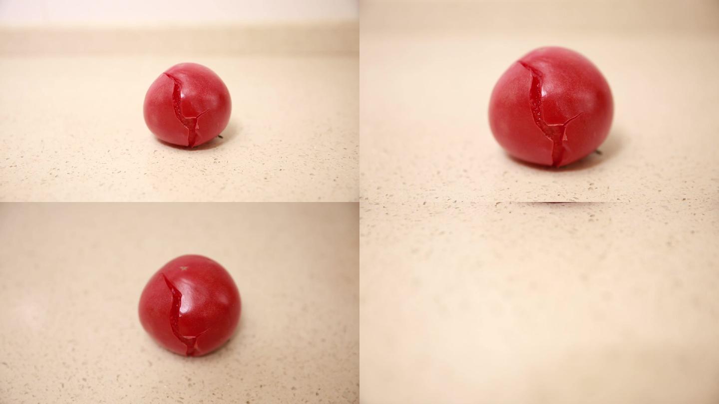 【镜头合集】腐烂了的西红柿  (2)