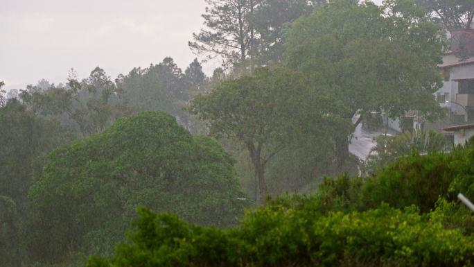 热带城市雨季有大风或阵风的暴雨