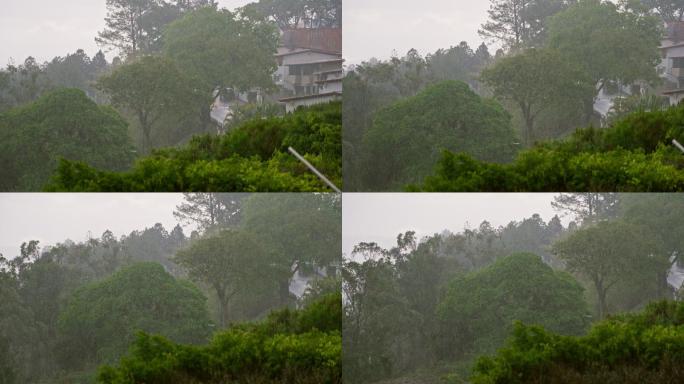 热带城市雨季有大风或阵风的暴雨