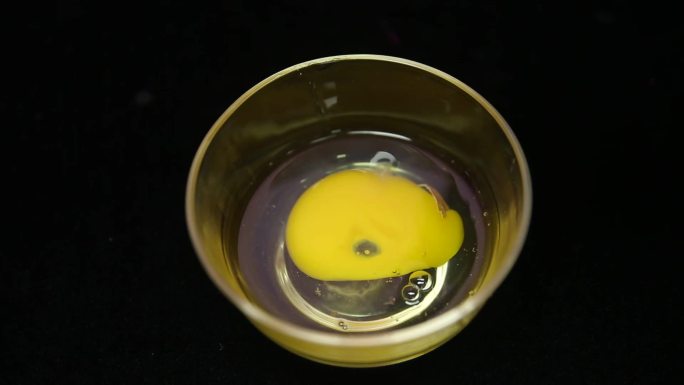 【镜头合集】玻璃碗磕鸡蛋