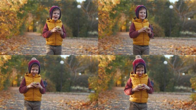 小男孩在公园里吃苹果，享受阳光明媚的秋天
