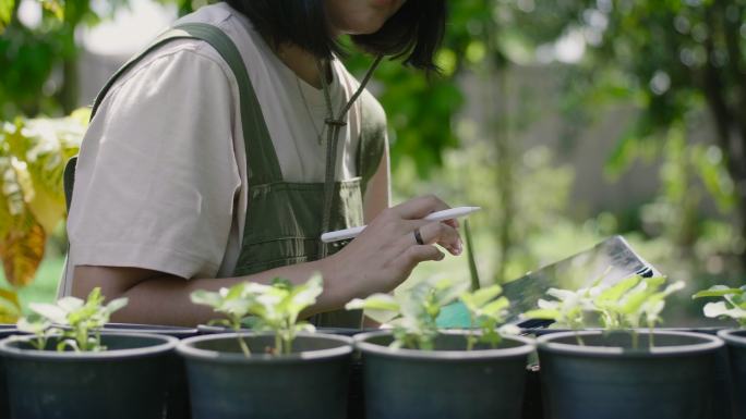 一名妇女正在使用数字平板电脑检查作物的发育情况。