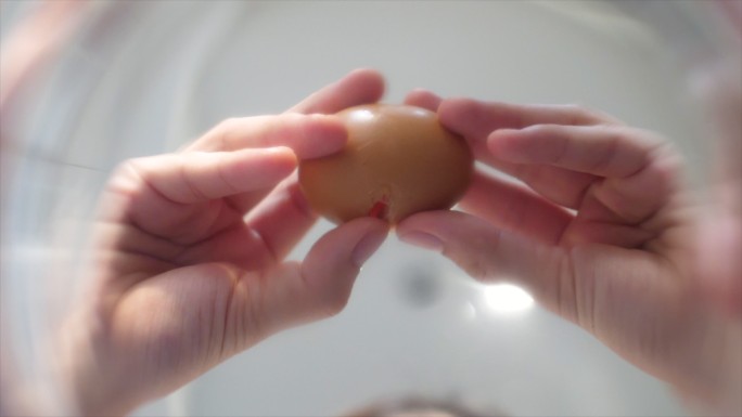 鸡蛋掉进碗里蛋壳蛋白质烹饪
