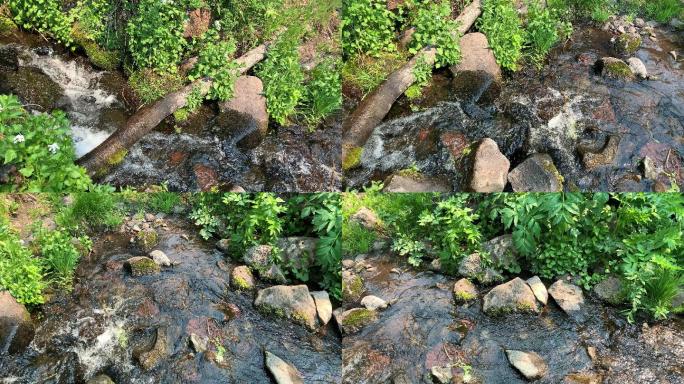 科罗拉多州大梅萨国家森林中穿过岩石的溪流