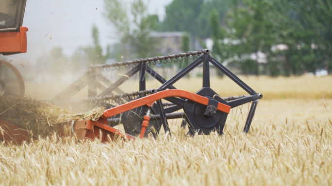 农业大丰收三夏生产收麦子