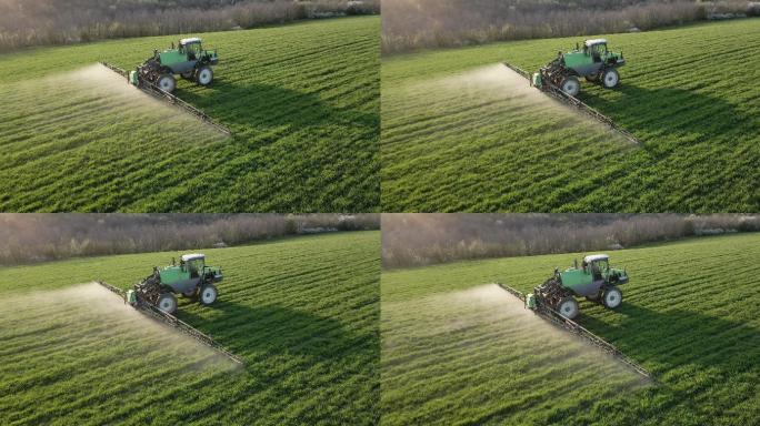 拖拉机为绿色小麦耕地施肥的鸟瞰图。