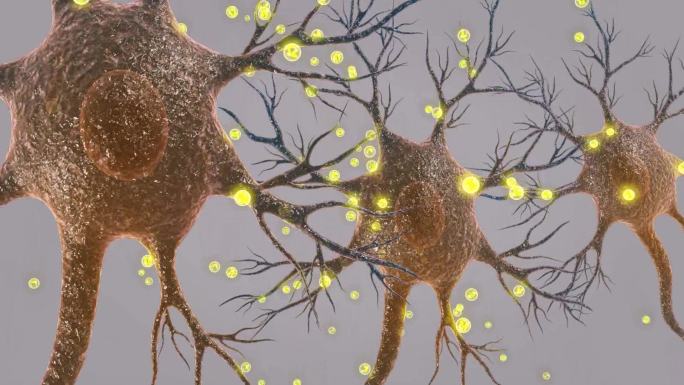 直接影响细胞膜的通透性改善受损的神经纤维