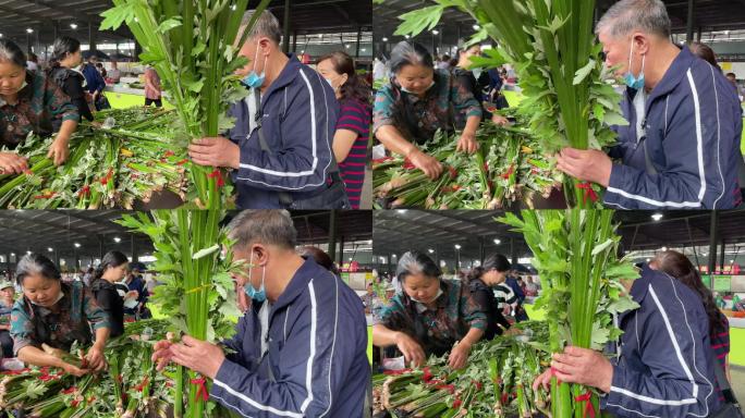 中国传统端午节买艾草菖蒲挂门口防虫习俗