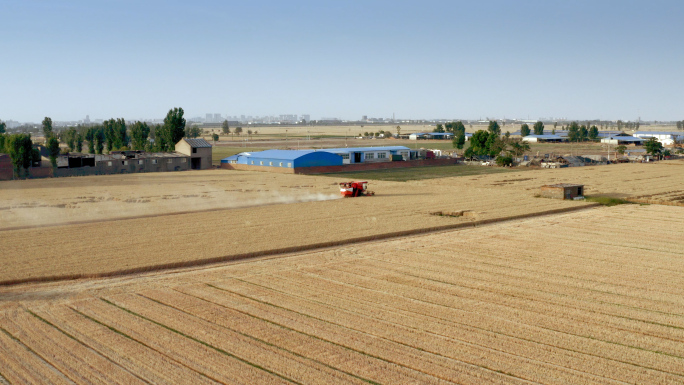小麦丰收收割机收麦航拍