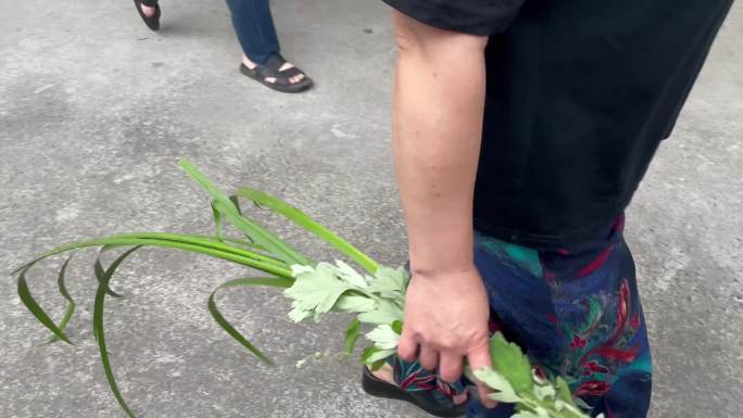 传统端午节购买一束艾草菖蒲挂门口习俗