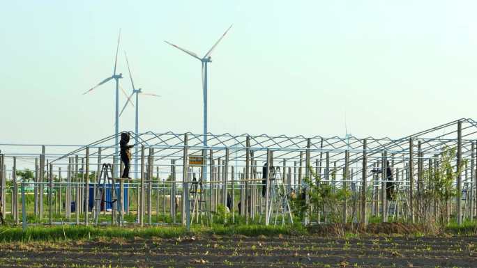 农村温室大棚建造