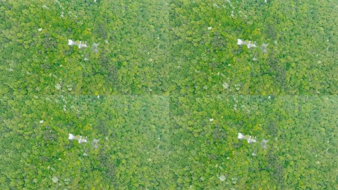 桐柏县森林公园