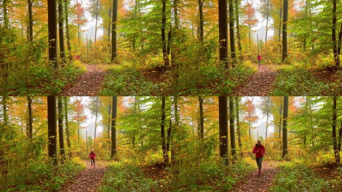 秋天，一位老妇人在林间小路上奔跑