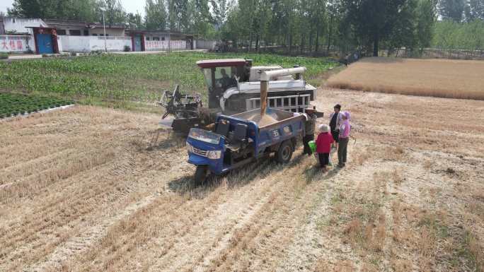 小麦收割 收割机  收麦子  联合收割机