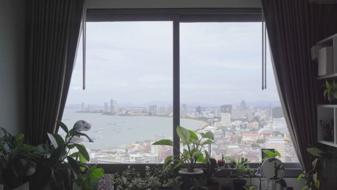 阳台视图，带室内花园和植物，背景为海滩和城市