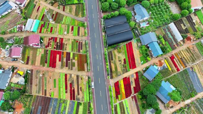 广西桂林尧山花卉花木市场农场