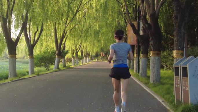 美女跑步早晨向着太阳奔跑公园奔跑逆光奔跑