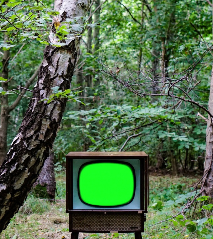 森林中废弃的彩色键屏复古电视