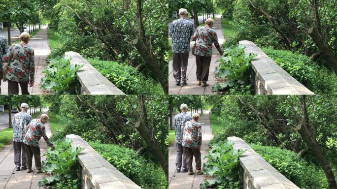公园里的老年夫妇老年夫妇散步