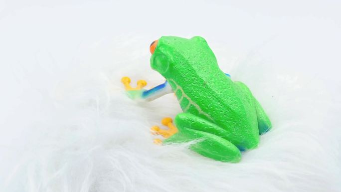 【镜头合集】树蛙青蛙模型玩具  (1)