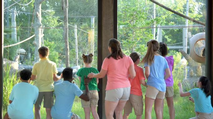 夏季动物园实地考察，包括患有抑郁症的儿童