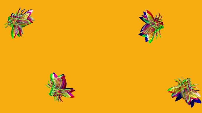 通过分离颜色和使用过滤器制作的描绘3D家蝇浮雕的高分辨率视频。