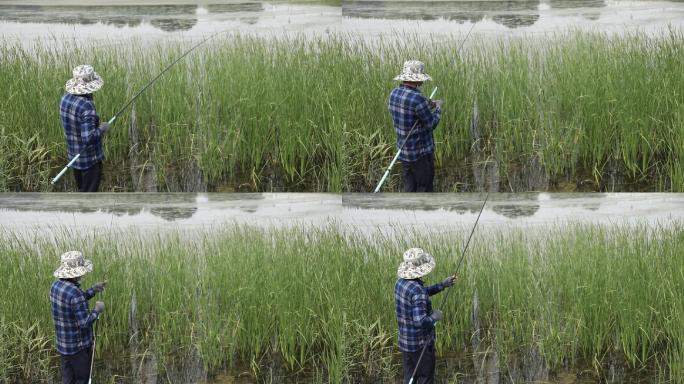 一名戴着草帽的老人在河草丰盛的水边钓鱼