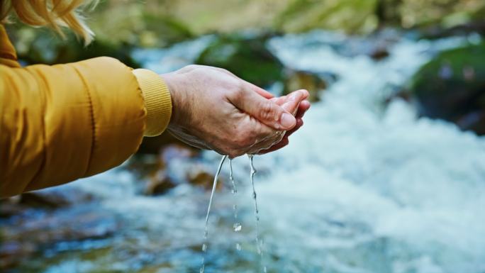 森林里，一个女人用手从小溪里舀淡水