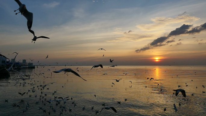 日落时在海面上飞翔的海鸥。