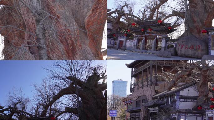 【镜头合集】北京景区中华民族博物馆