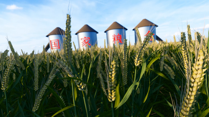 4K国家粮仓粮食之小麦合集