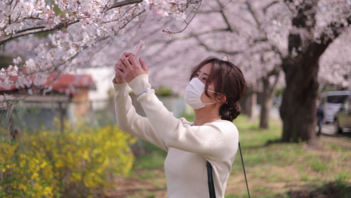 戴防护面罩的年轻女子拍摄日本樱花