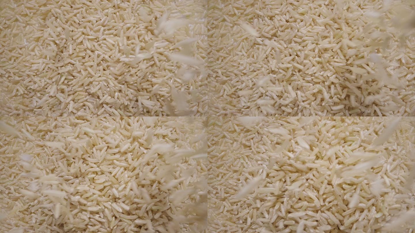 茉莉糙米一堆一堆大米泰国香米