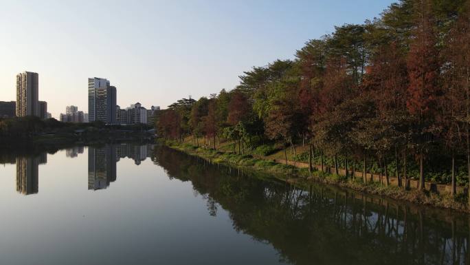 桂城东怡海湖天安中心天安数码夕阳航拍