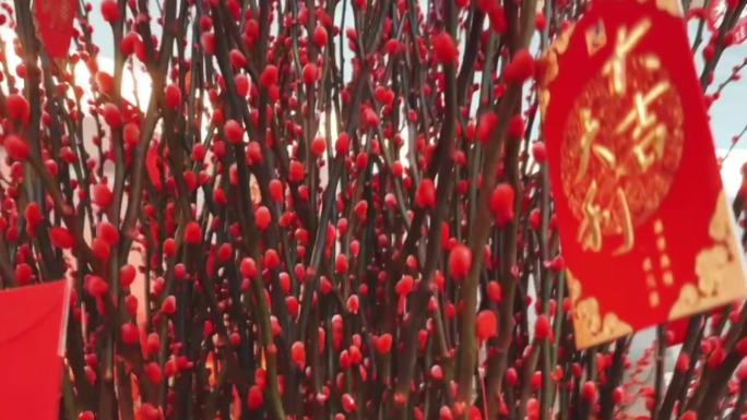 春节发财吉祥红包树