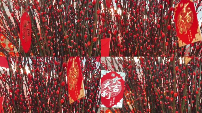 春节发财吉祥红包树