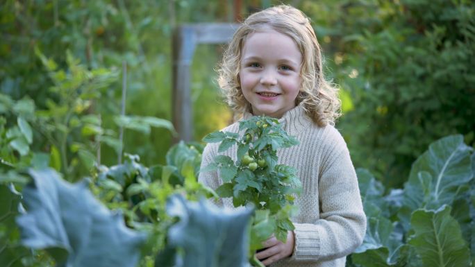 社区花园里的小女孩手里拿着盆栽植物
