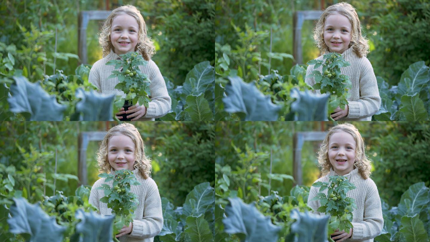 社区花园里的小女孩手里拿着盆栽植物