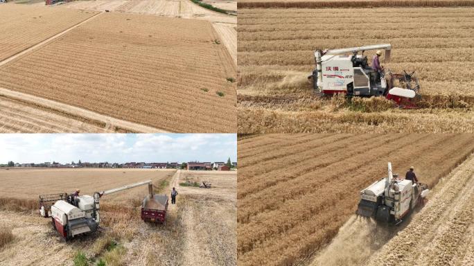 新农村收割机割麦子稻子丰收机械化生产