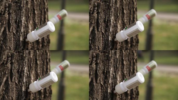 公园里的树上插着营养液的瓶子