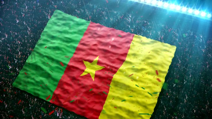 球场上的喀麦隆国旗