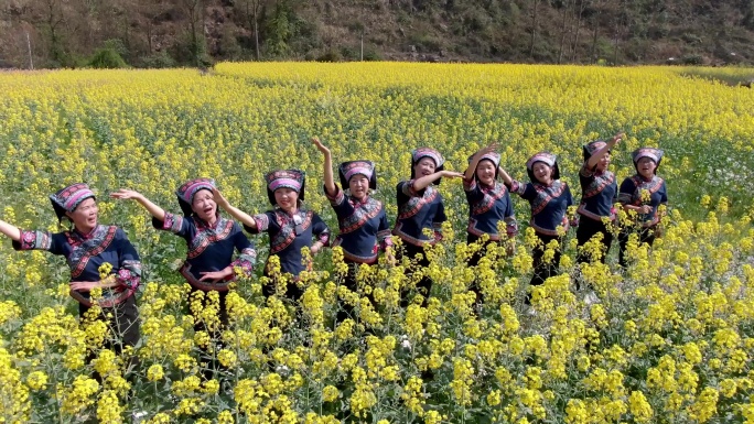 4K  水族姑娘在油菜花田中唱歌